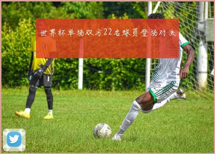 世界杯单场双方22名球员登场对决