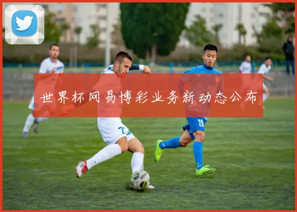 世界杯网易博彩业务新动态公布