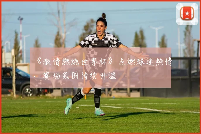《激情燃烧世界杯》点燃球迷热情，赛场氛围持续升温