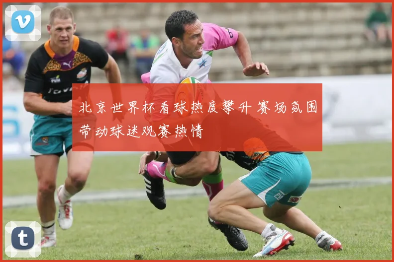 北京世界杯看球热度攀升 赛场氛围带动球迷观赛热情