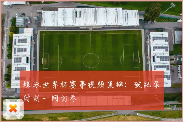蝶泳世界杯赛事视频集锦：破纪录时刻一网打尽